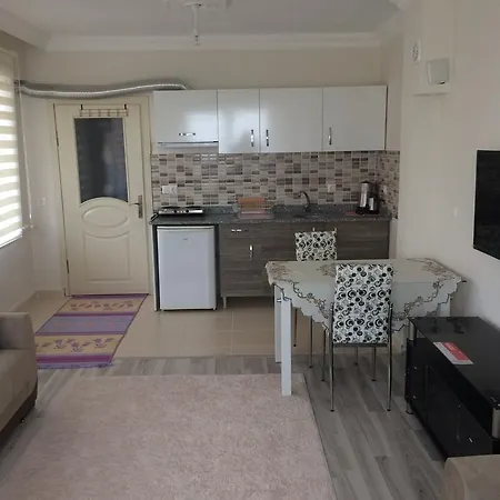 아파트 Gerze Apart Otel *